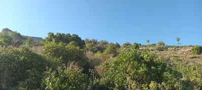O L D Marseille 9ème La Panouse. 