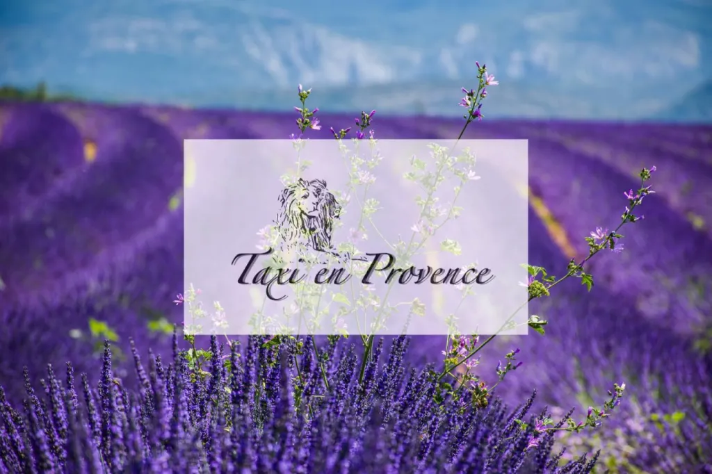 Taxi Trets pour la Gare TGV Aix en Provence