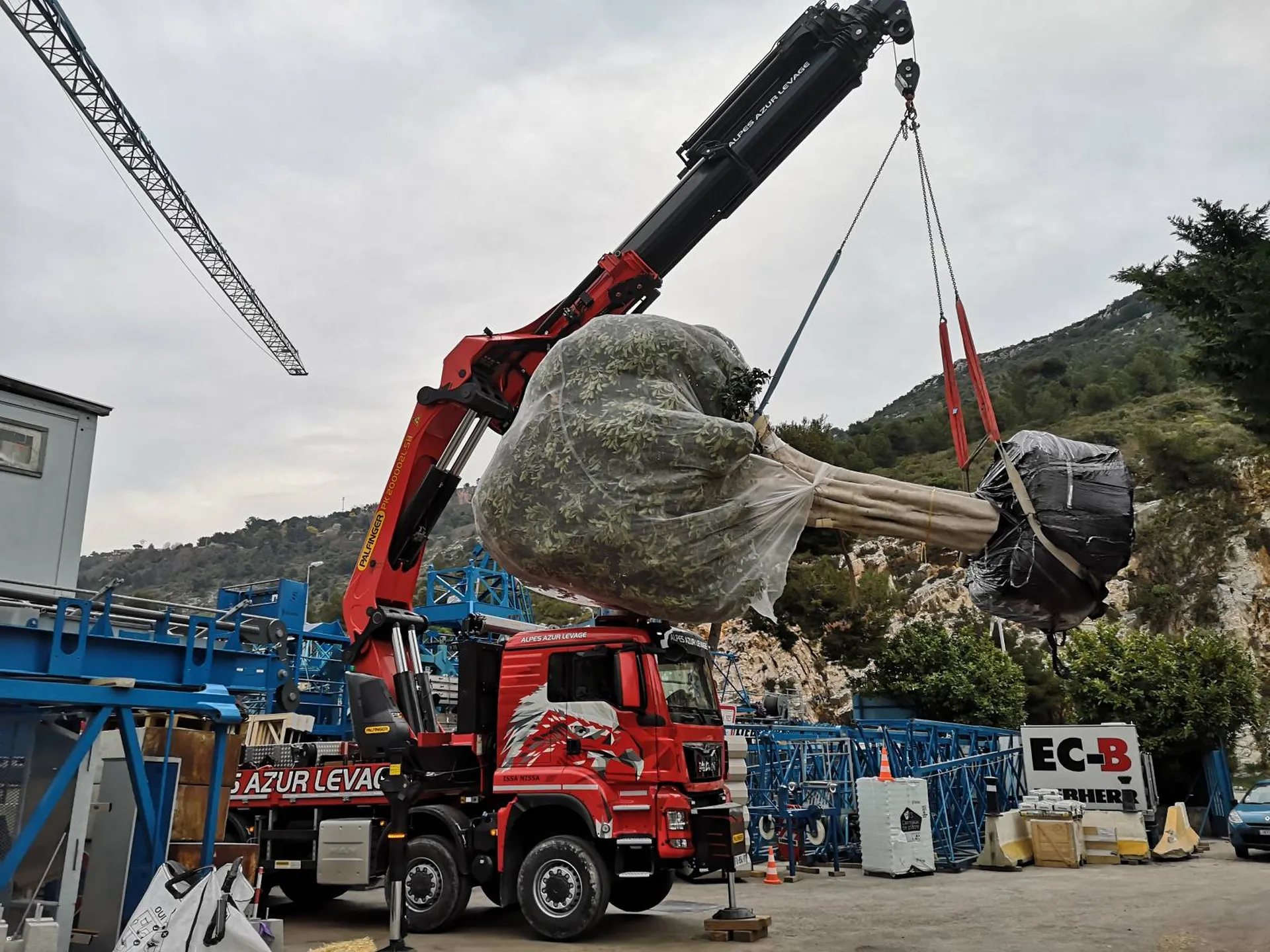 Approvisionnement et transport des arbres exceptionnels à Monaco