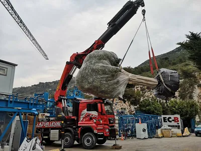 Approvisionnement et transport des arbres exceptionnels à Monaco