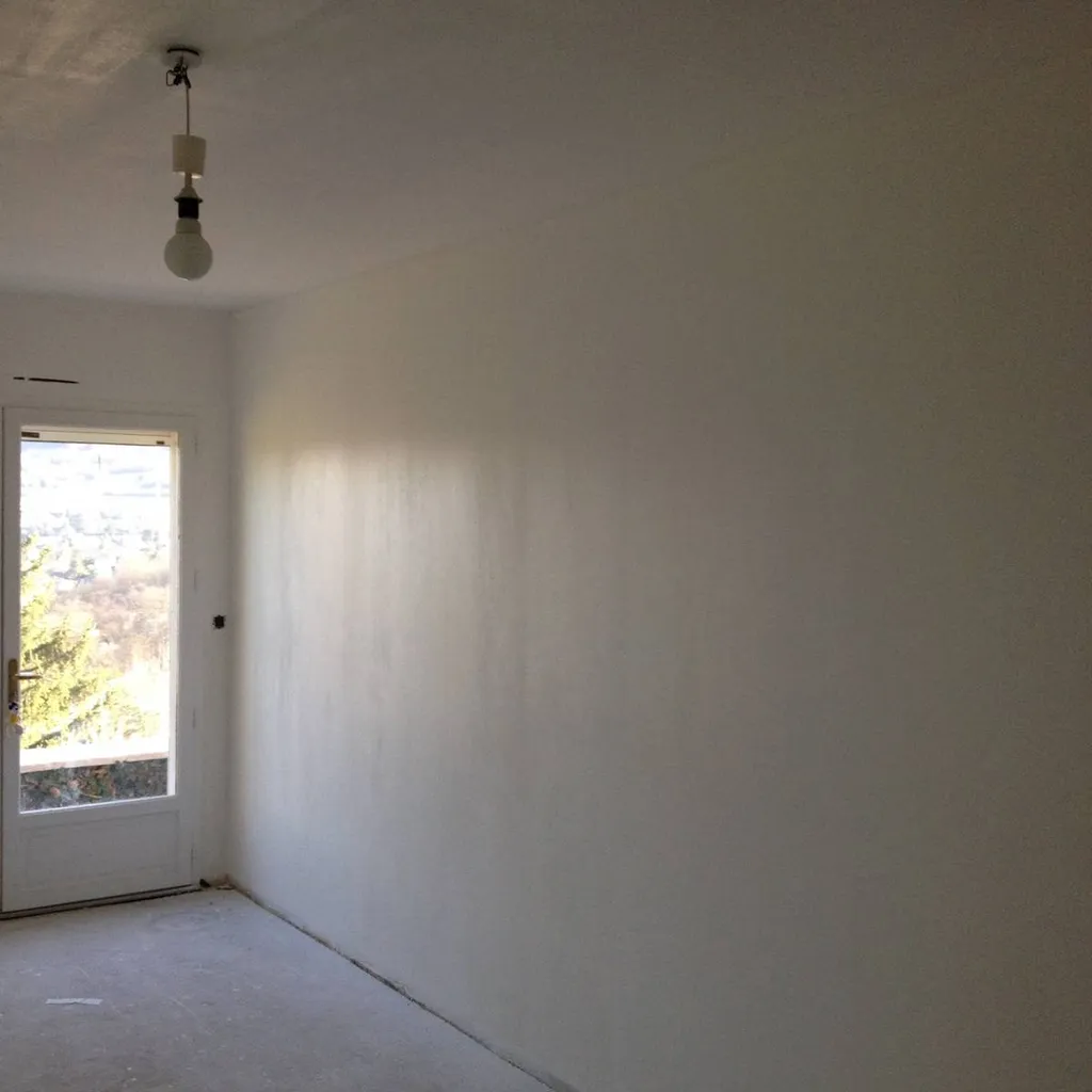 Extension de 50 m2 à St Didier au Mont d'Or