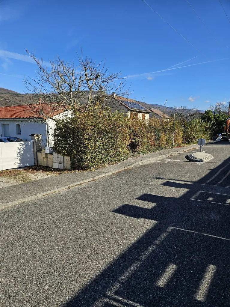 Suppression d'une haie pour la construction d'un mur de clôture à Meximieux