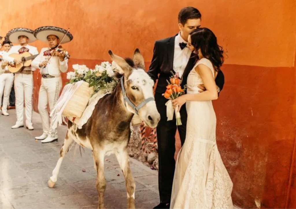 Votre Destination Wedding les pieds dans l'eau en Andalousie