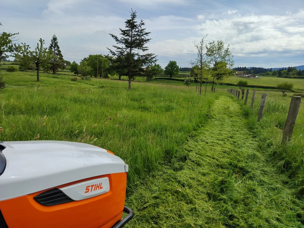 Remise en état et entretien des espaces verts d'un terrain de 3 000 m² dans la commune d'Ambierle