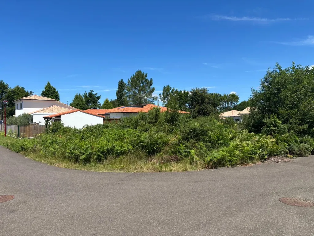 Remise en état de terrain avant construction d’une maison à Mimizan par votre paysagiste situé à Parentis-En-Born et Biscarrosse 