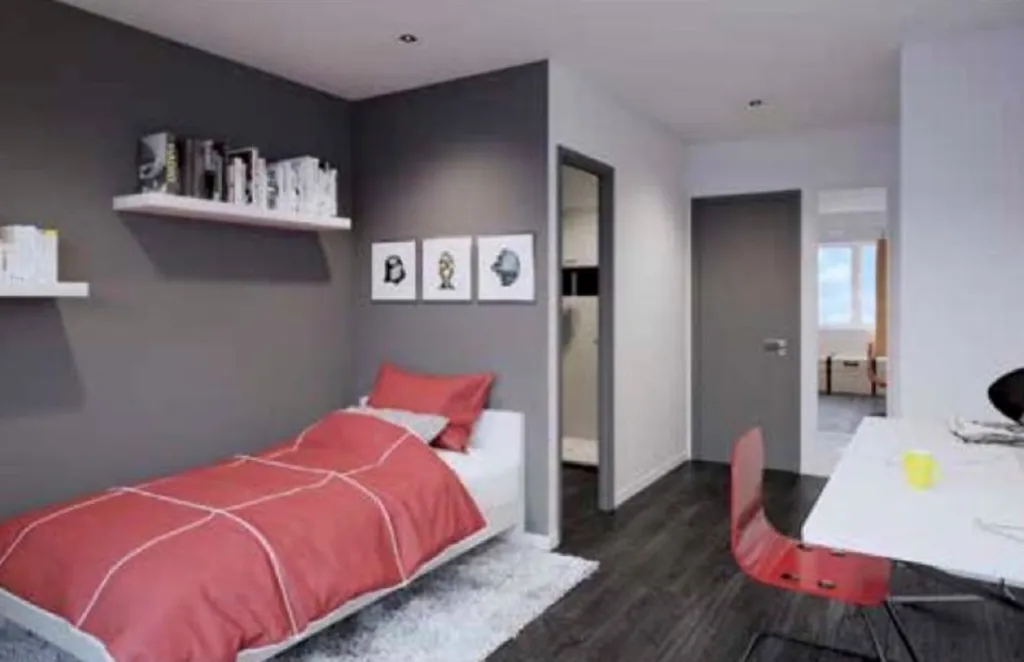 Chambre  meublé à Lyon 4