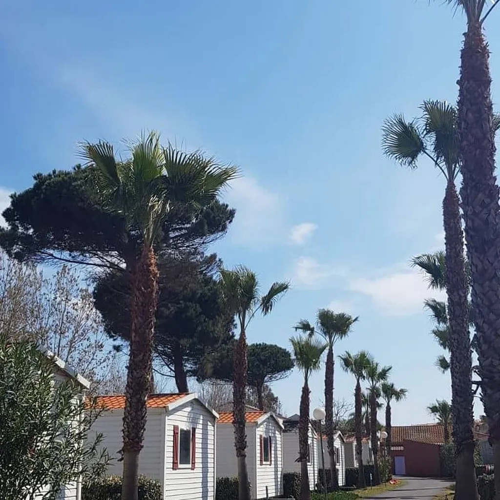 Camping familial 4 étoiles bord de mer à Vias Plage proche de Montpellier