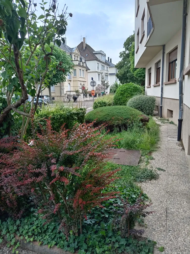 Entretien des espaces verts de copropriété et résidence à Haguenau dans le Bas-Rhin : gestion professionnelle des parties communes pour valoriser votre immeuble et satisfaire les résidents
