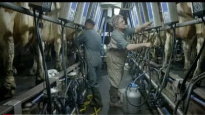  la Laiterie des Monts Yssingelais