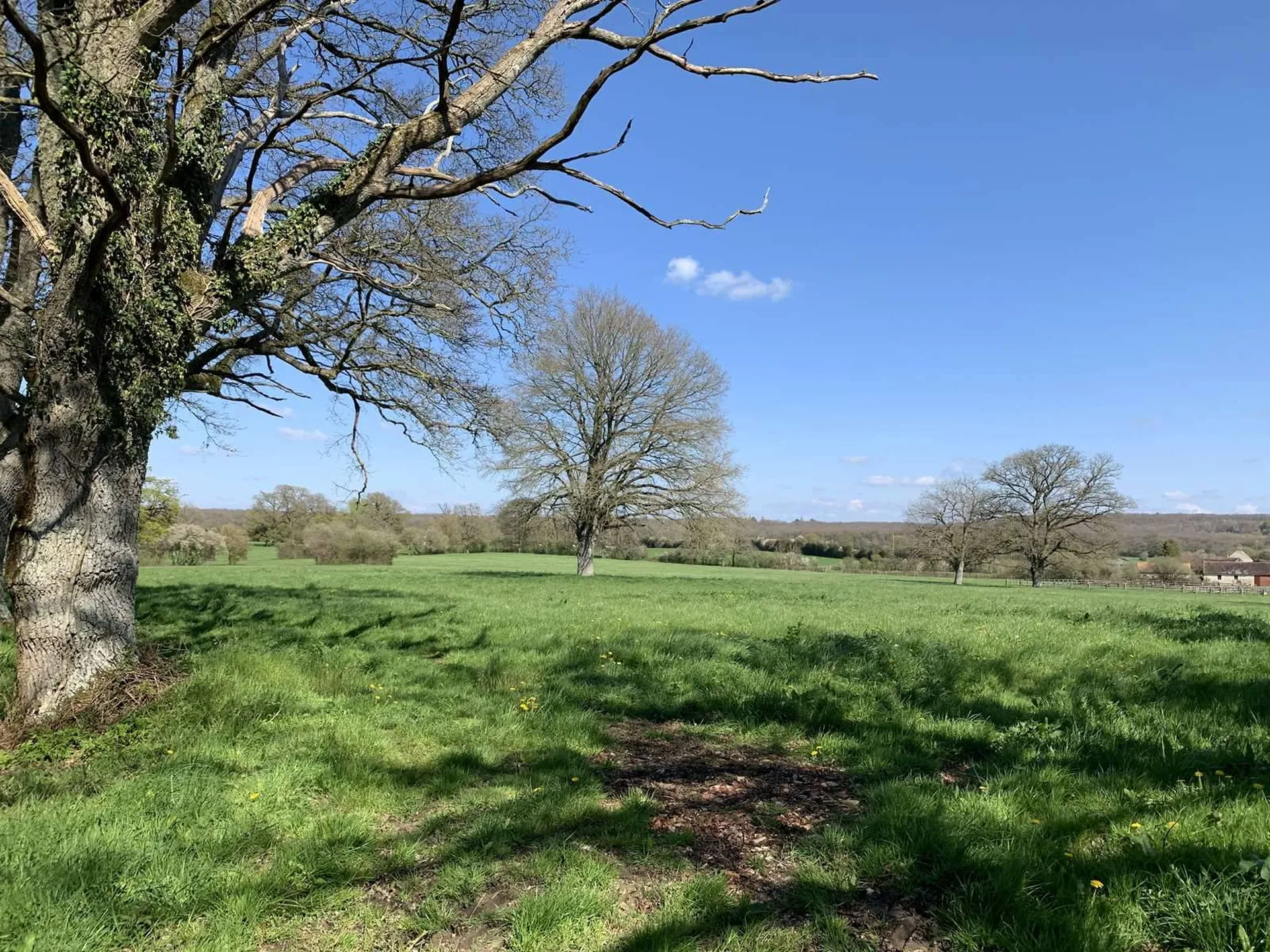 A VENDRE dans l'ORNE 61, dans la région du HARAS DU PIN, Exploitation Agricole de 47 hectares