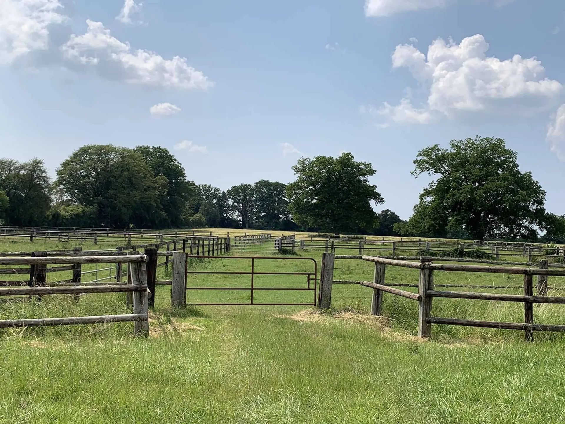 A VENDRE dans l'ORNE 61, dans la région du HARAS DU PIN, Exploitation Agricole de 47 hectares
