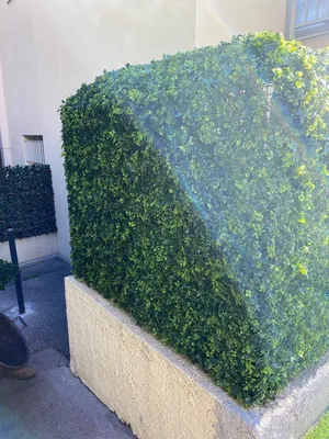 Pose du grillage plié sur mesure et feuillage artificiel à Nice