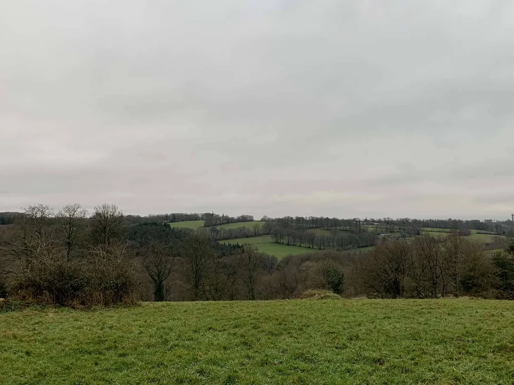 Région SOURDEVAL (MANCHE) Parcelles d'herbage et bois taillis sur 9 HA 10 A