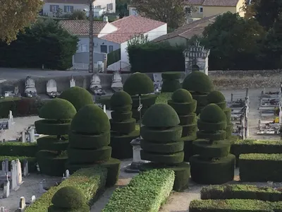 Carré Vert, paysagiste professionnel, s'occupe de la taille d'arbres à Saint-Rémy-de-Provence, 13210, pour préserver la santé de vos végétaux et sublimer vos espaces extérieurs