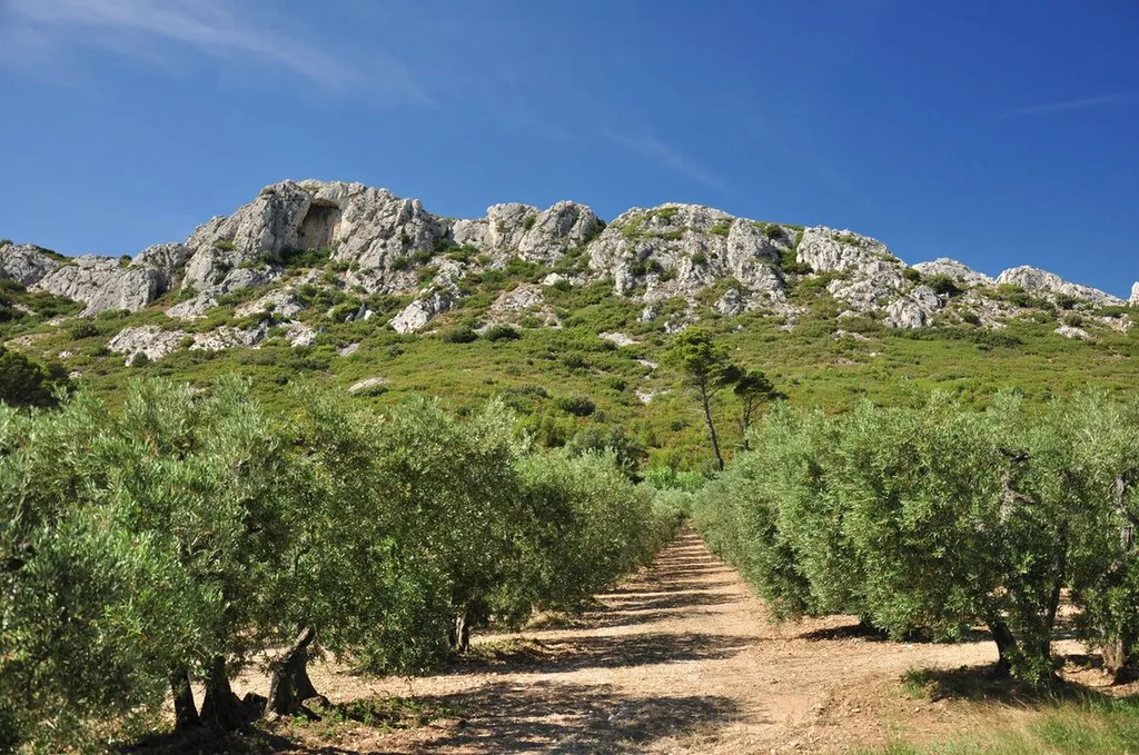 La donation temporaire d’usufruit peut réduire l’imposition des revenus locatifs