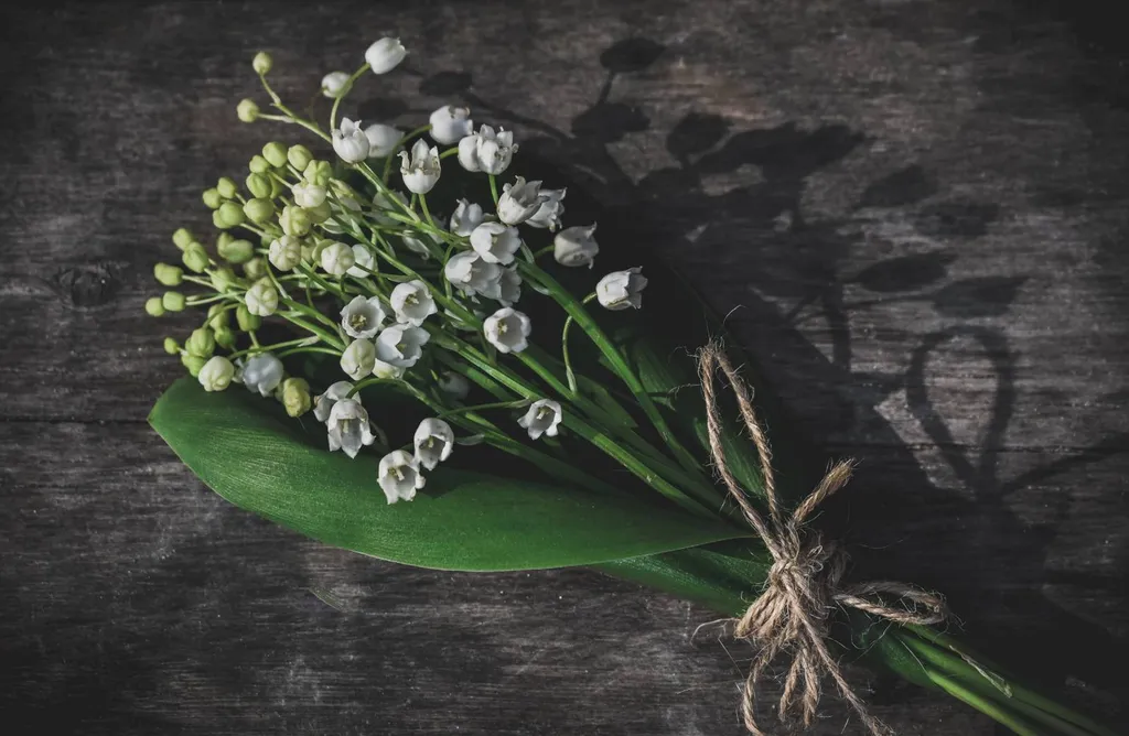 livraison de brin de muguet dans les monts d'or