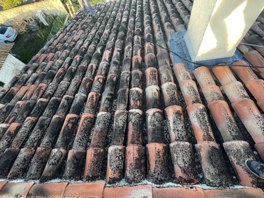 Intervention de couvreur pour un nettoyage de tuiles de toiture de maison près de Martigues 