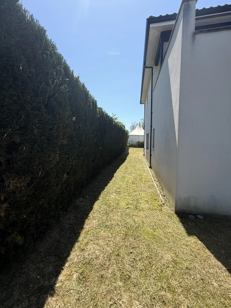 Remise en état complète d’un jardin avec tonte et taille de haies à Balma proche de Toulouse avant remise en location