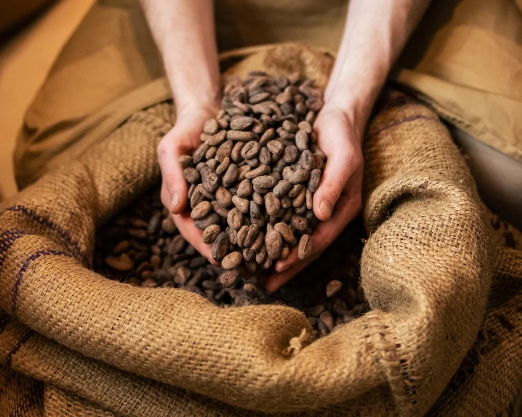 Participez à un atelier authentique inspirés du savoir-faire des cultivateurs malgaches et repartez avec votre propre création !