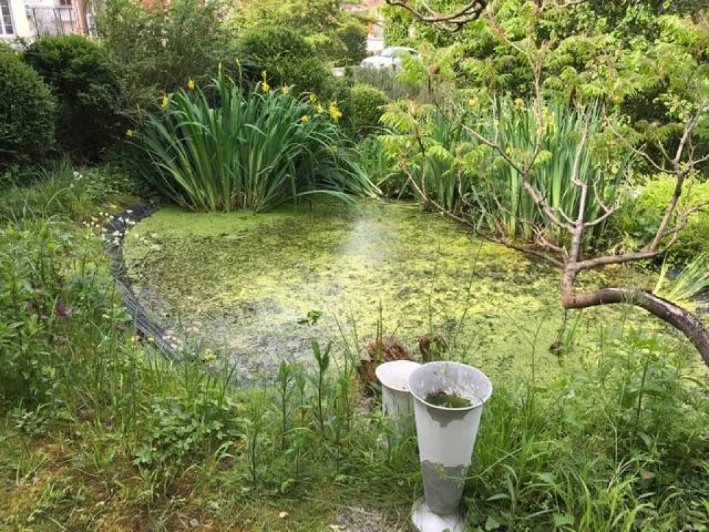 A acheter, MAGNIFIQUE Maison de style sur la commune de TOURVILLE LA RIVIERE 76410, proche Autoroute.