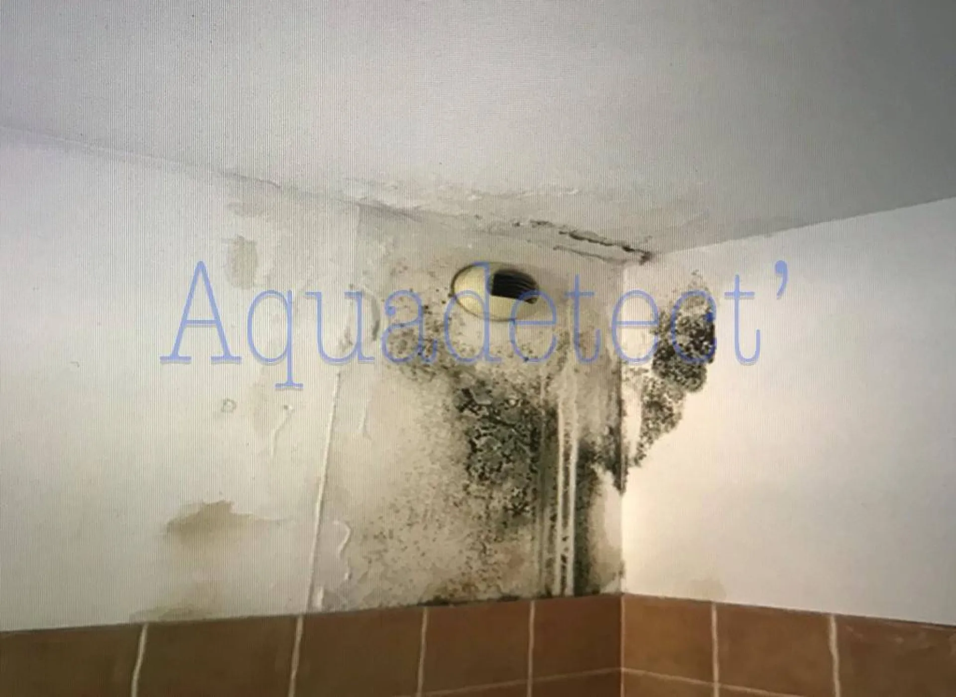 Recherche de fuite en cascade dans un appartement à FLASSANS dans le Var