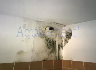 Recherche de fuite en cascade dans un appartement à FLASSANS dans le Var