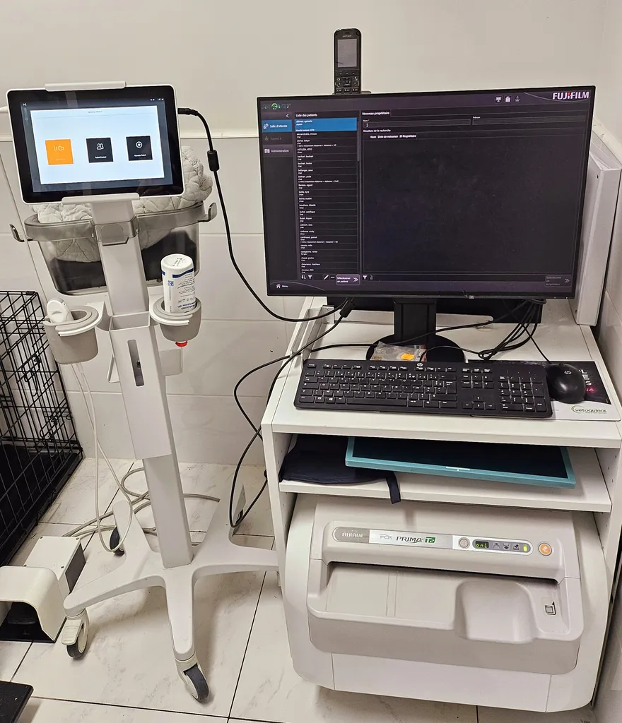 Un plateau technique complet pour chiens, chats et NAC à Marseille