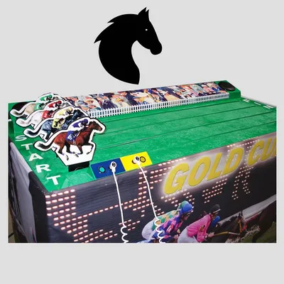 Animation course de chevaux Lyon