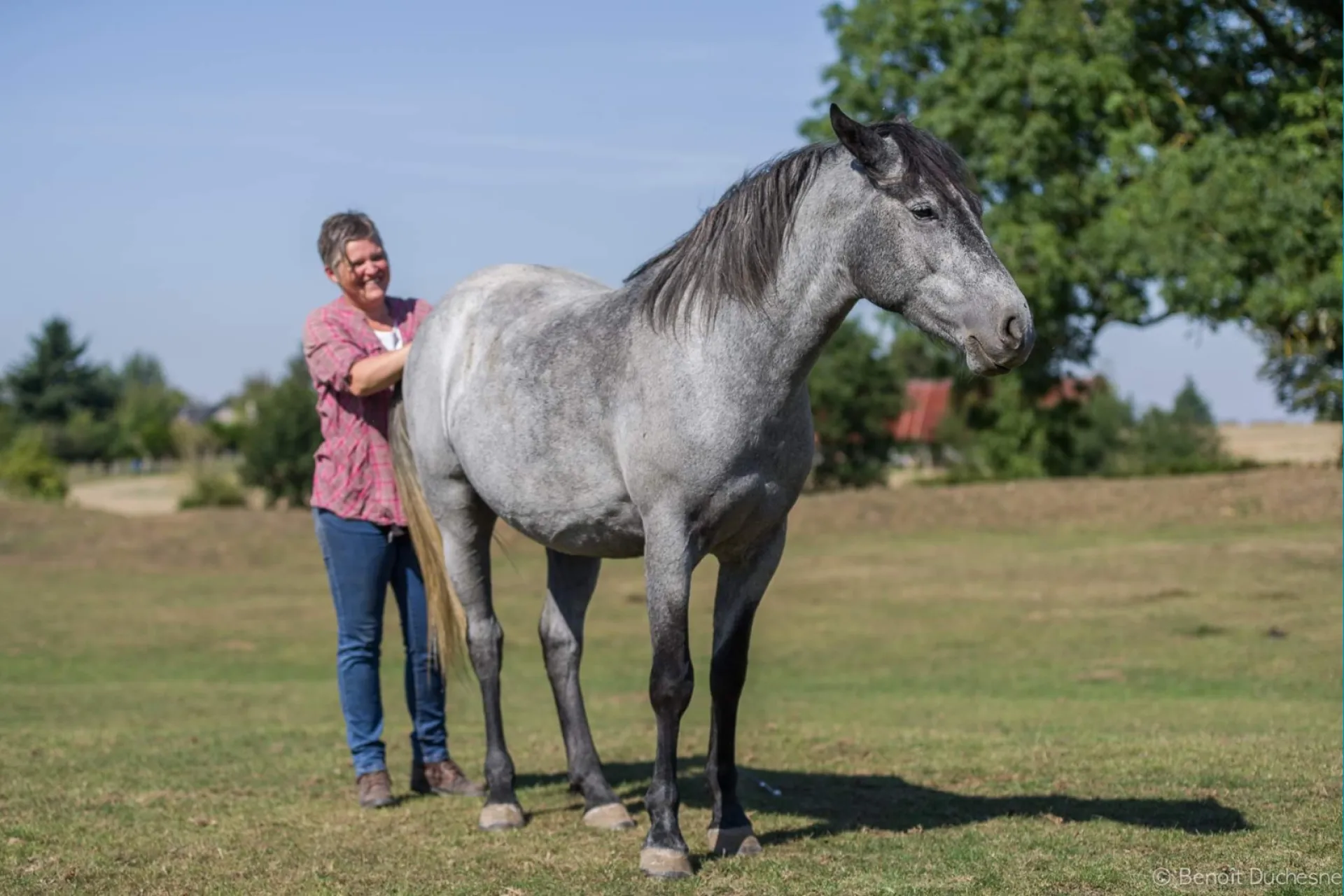 Prendre un RDV avec Valérie Guillet à Lille en constellation animale intuitive, pour apaiser et rééquilibrer la relation avec votre animal.