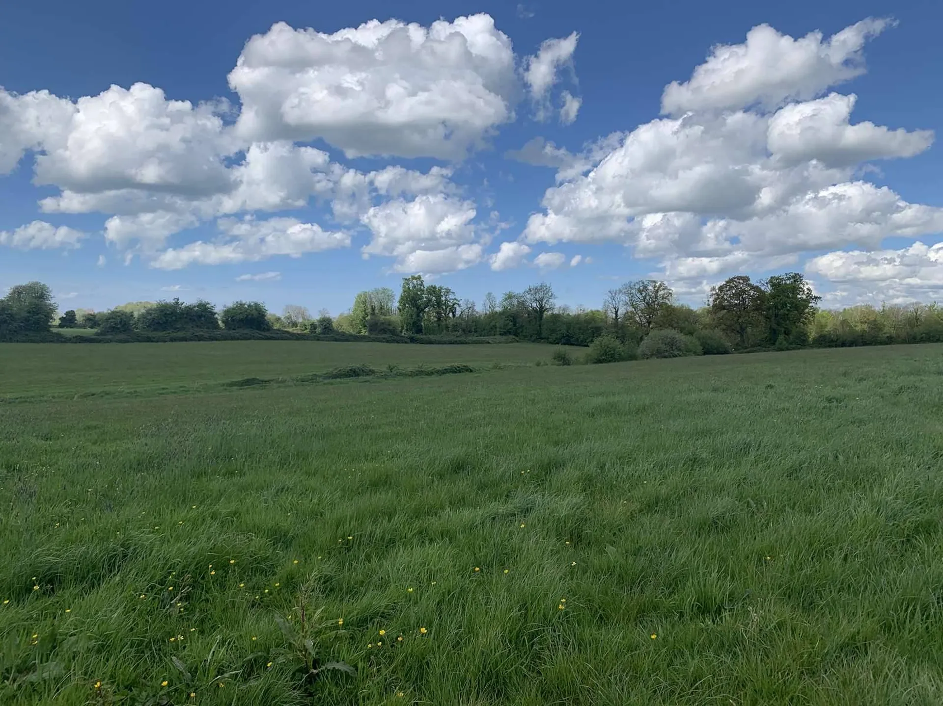 PAYS D'AUGE NORD : EN EXCLUSIVITE : A ACQUERIR REGION HONFLEUR : 35 HA de TERRES