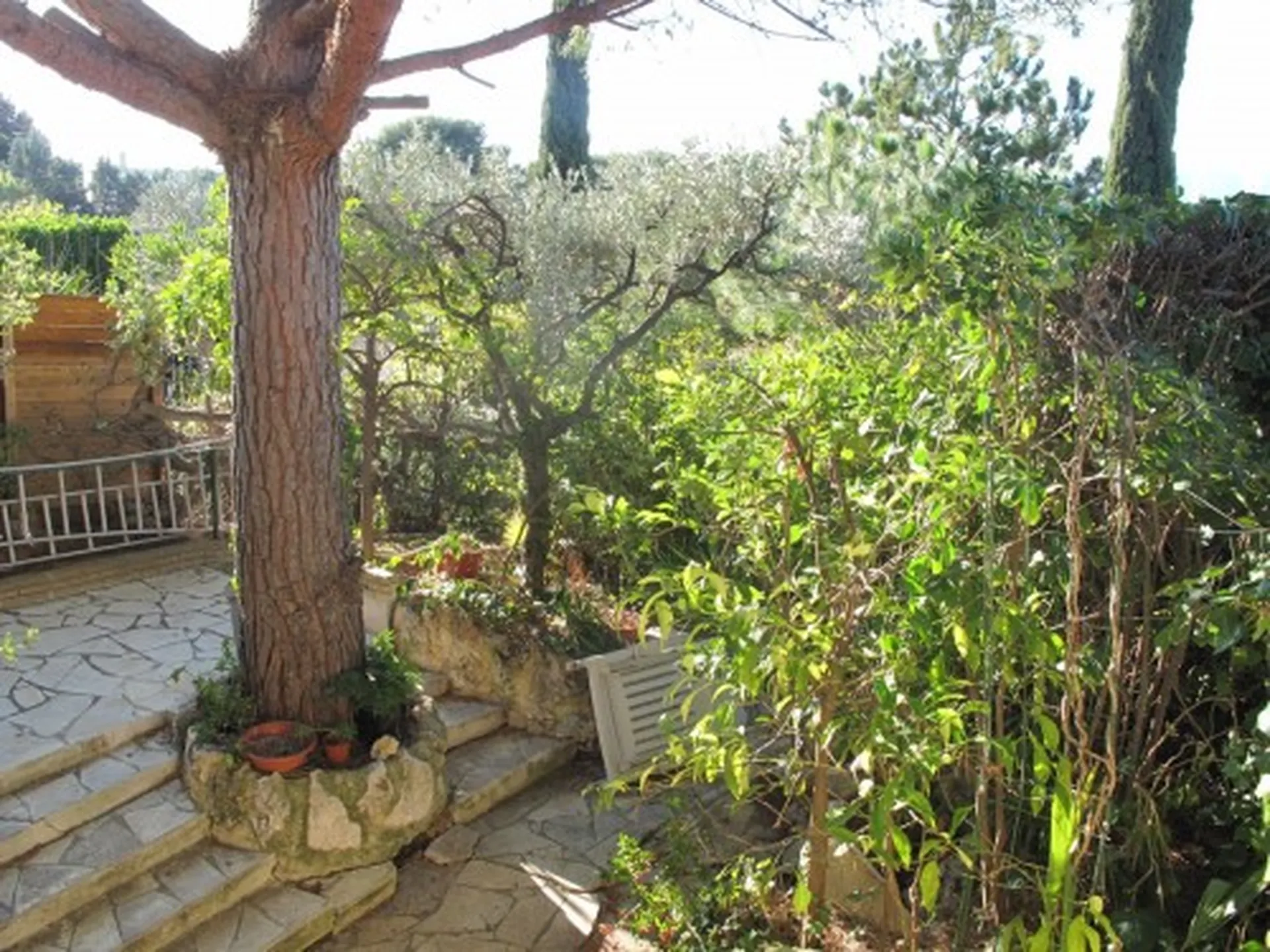 Vente villa  3 Cassis dans domaine privé avec piscine et tennis