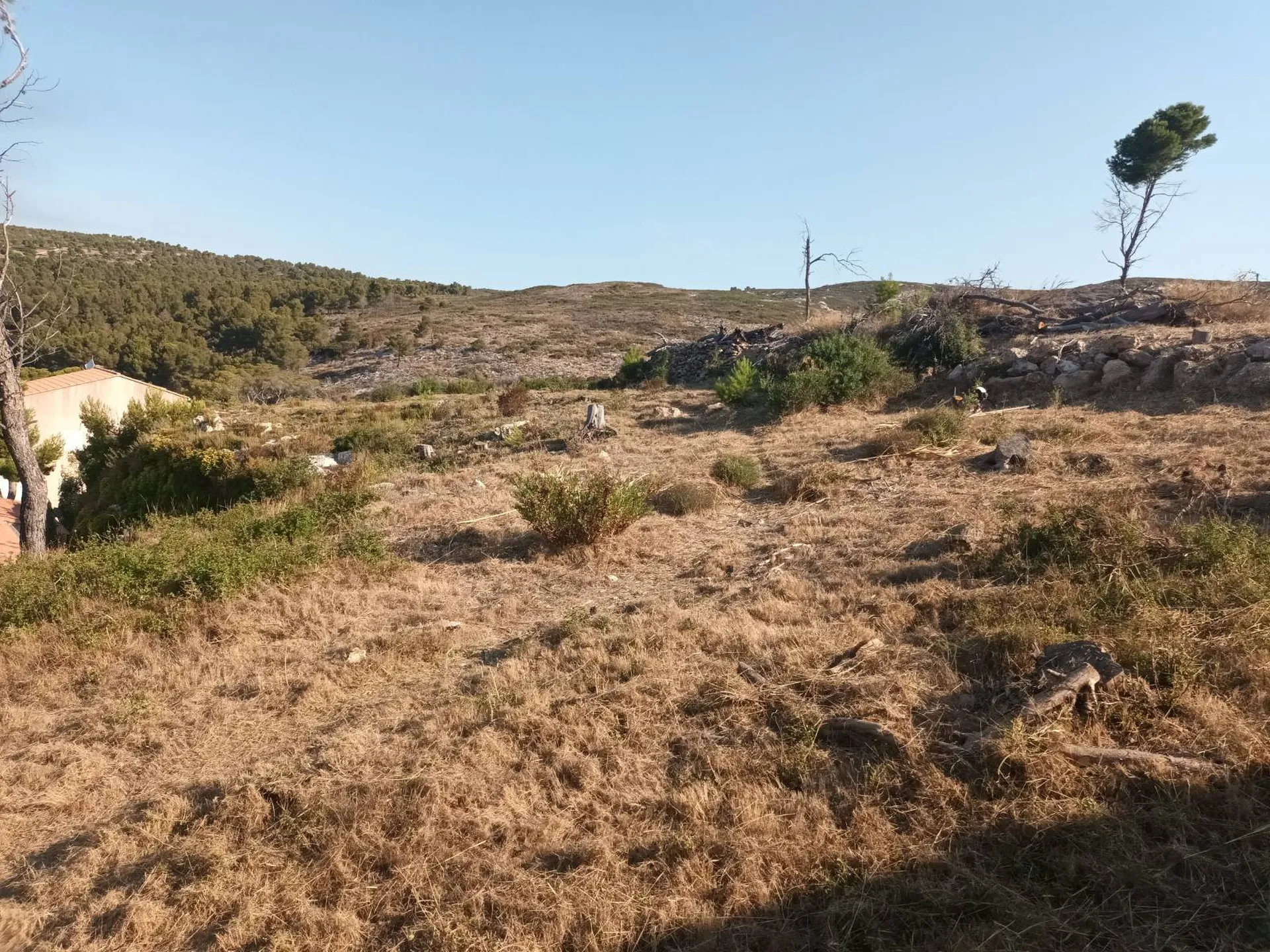 devis pour old débroussaillage cassis 