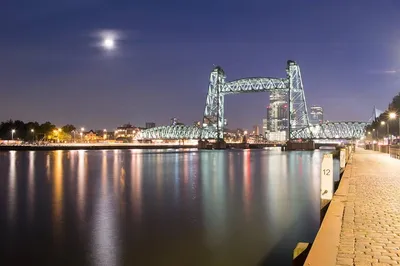 Transport frigo en départ de Rotterdam