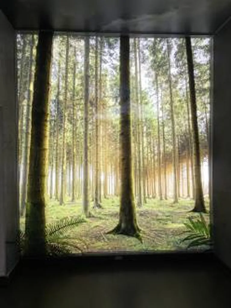 Toile murale imprimée, rétro éclairée avec effet 3D
