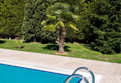 Aménagement de jardin en longueur avec piscine dans les Bouches du Rhône