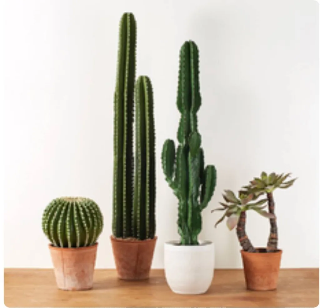 La collection d'automne Lou de Castellane, des créations plus vraies que nature exclusives et qualitatives.