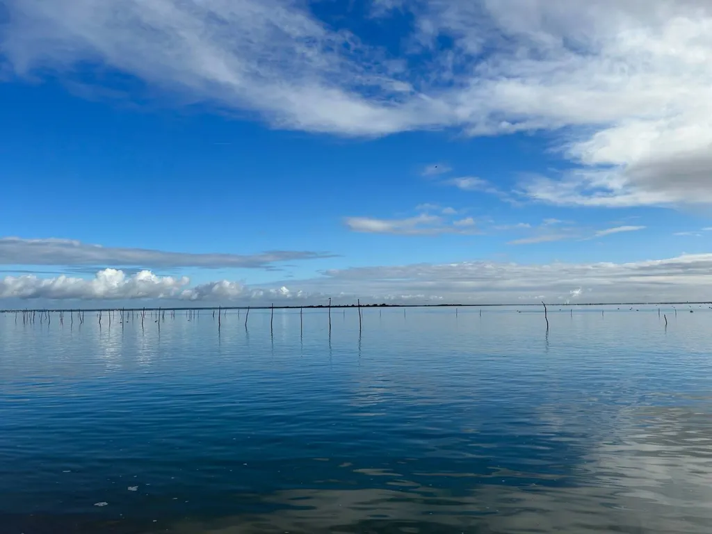 Quoi faire sur le bassin pendant les fêtes ? 