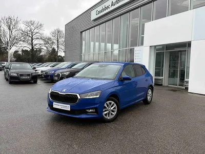 Achat Skoda Fabia occasion à proximité du Havre : citadine essence disponible chez Caudebec Automobiles by Myauto.fr