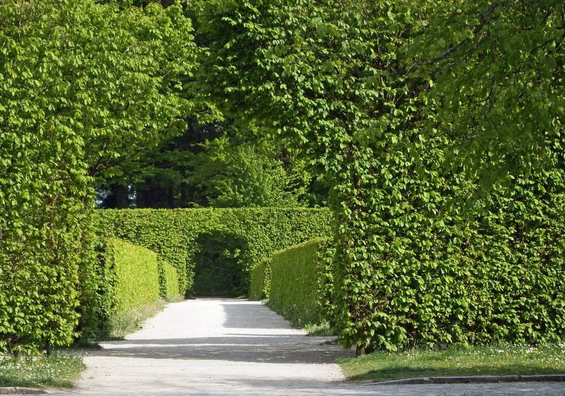 Entreprise entretien espaces verts dans le Vaucluse, les Bouches-du-Rhône et le Gard