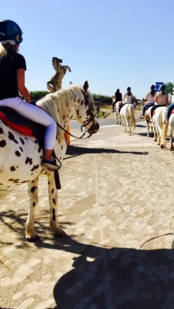 balade en famille a cheval