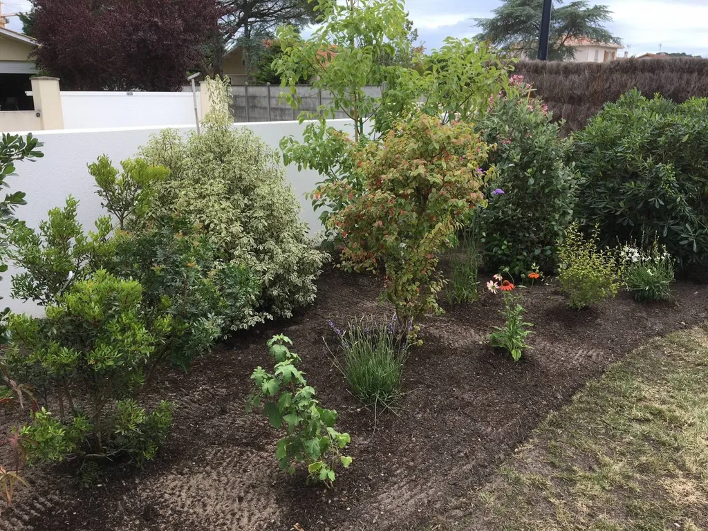 Evolution Paysage plante des arbustes et de vivaces à la Teste-De-Buch