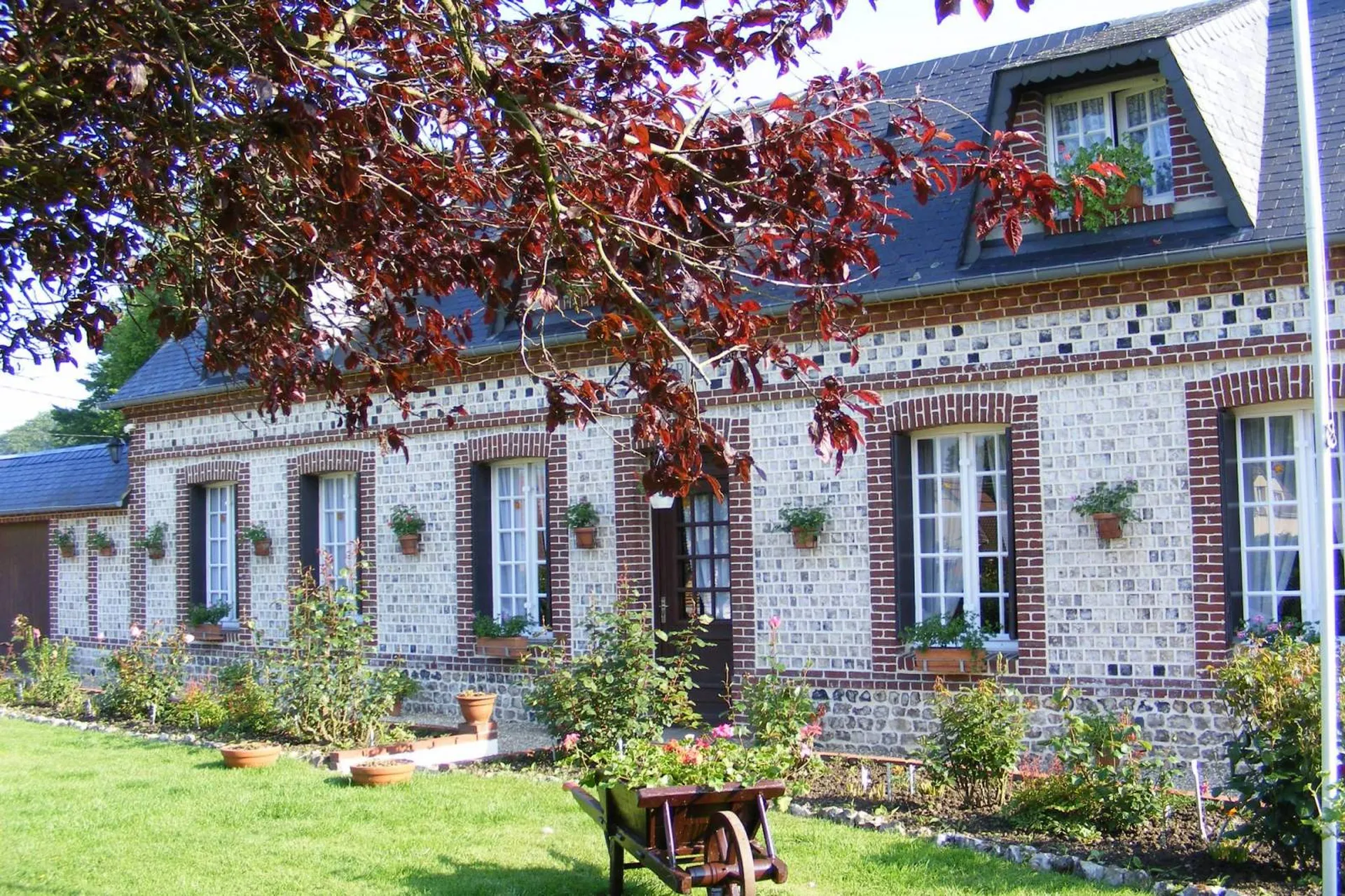 Refection de joints anglais sur silex et joints plats sur brique en Seine-Maritime 76