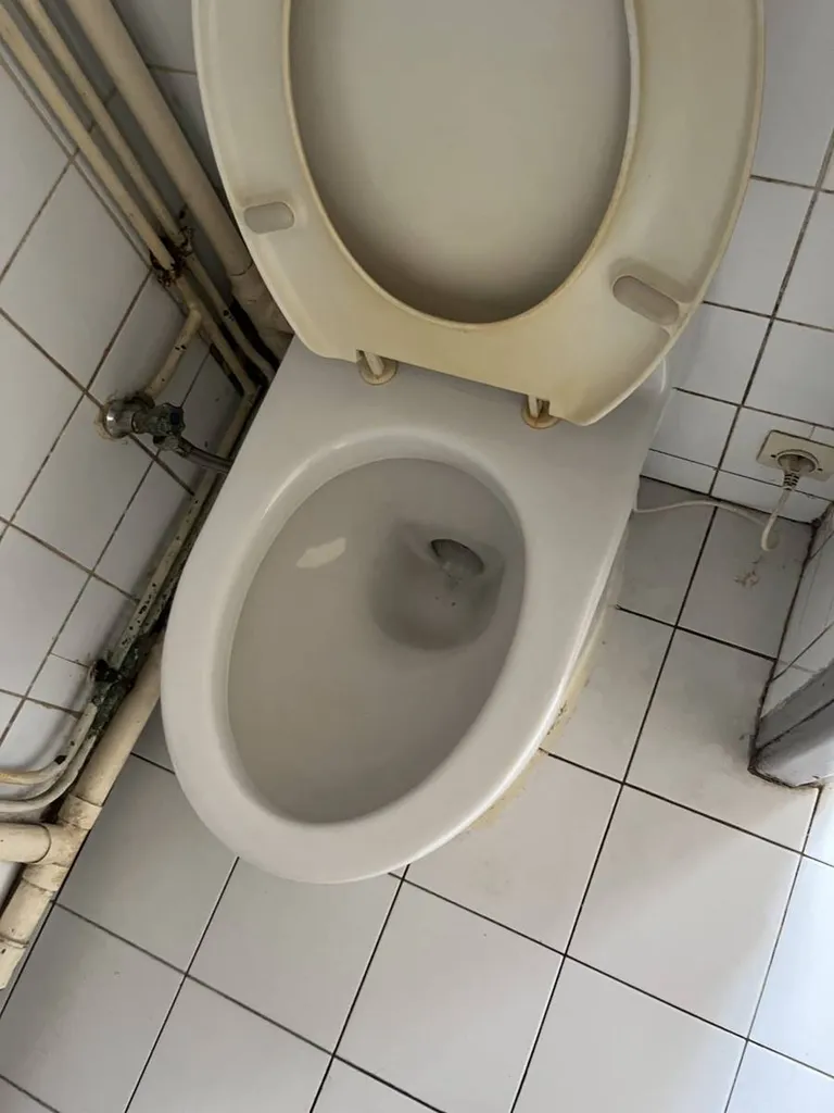WC après intervention