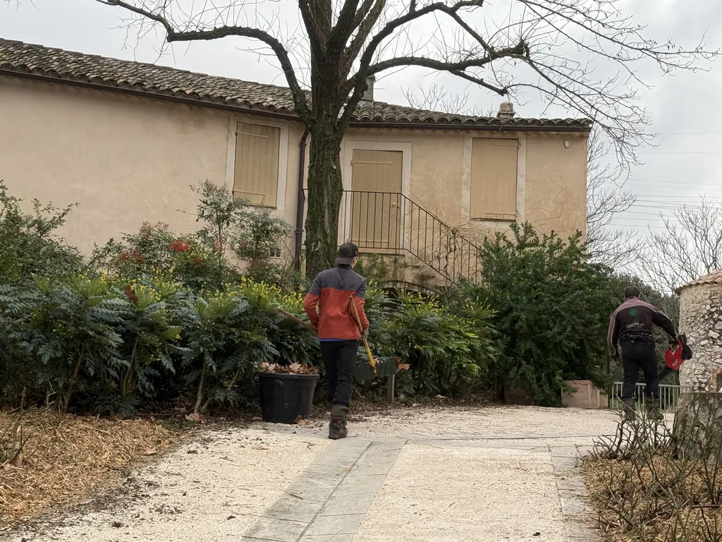 nettoyage du jardin à Toulon
