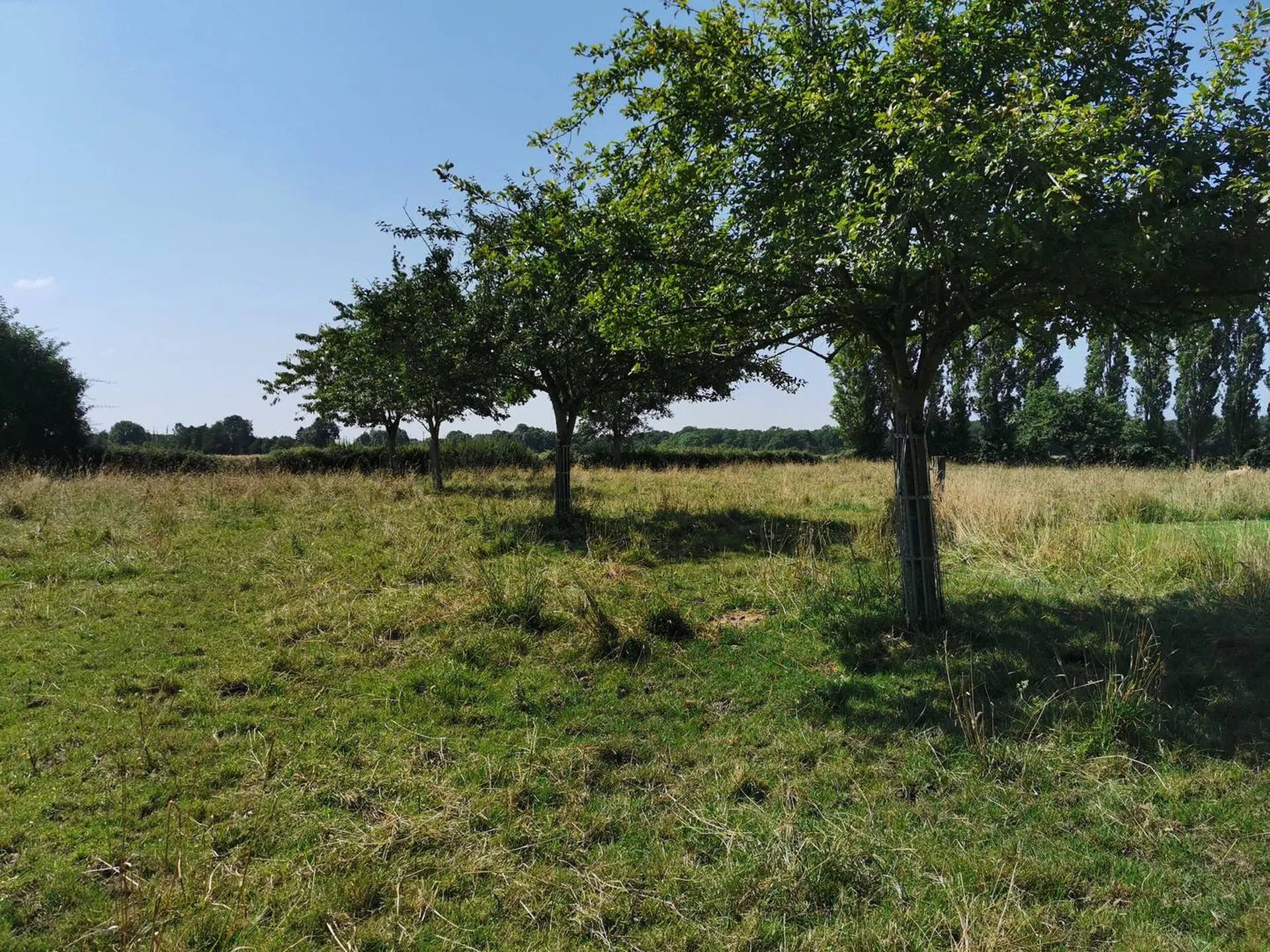 Maison récemment rénovée, campagne LISIEUX EST