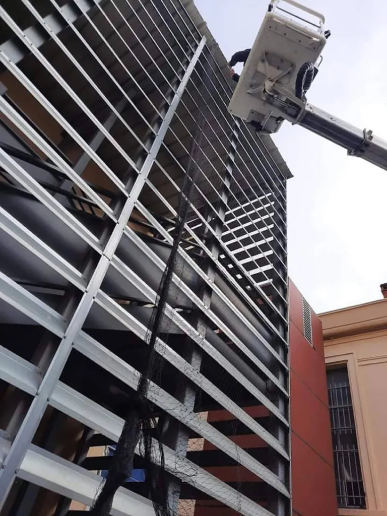 tuer les pigeons à miramas 13140