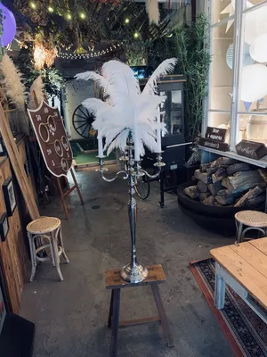 Ou louer des plumes d'autruche en normandie