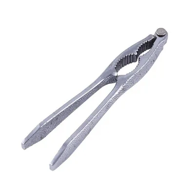 Location casse noix en région Rhône-Alpes