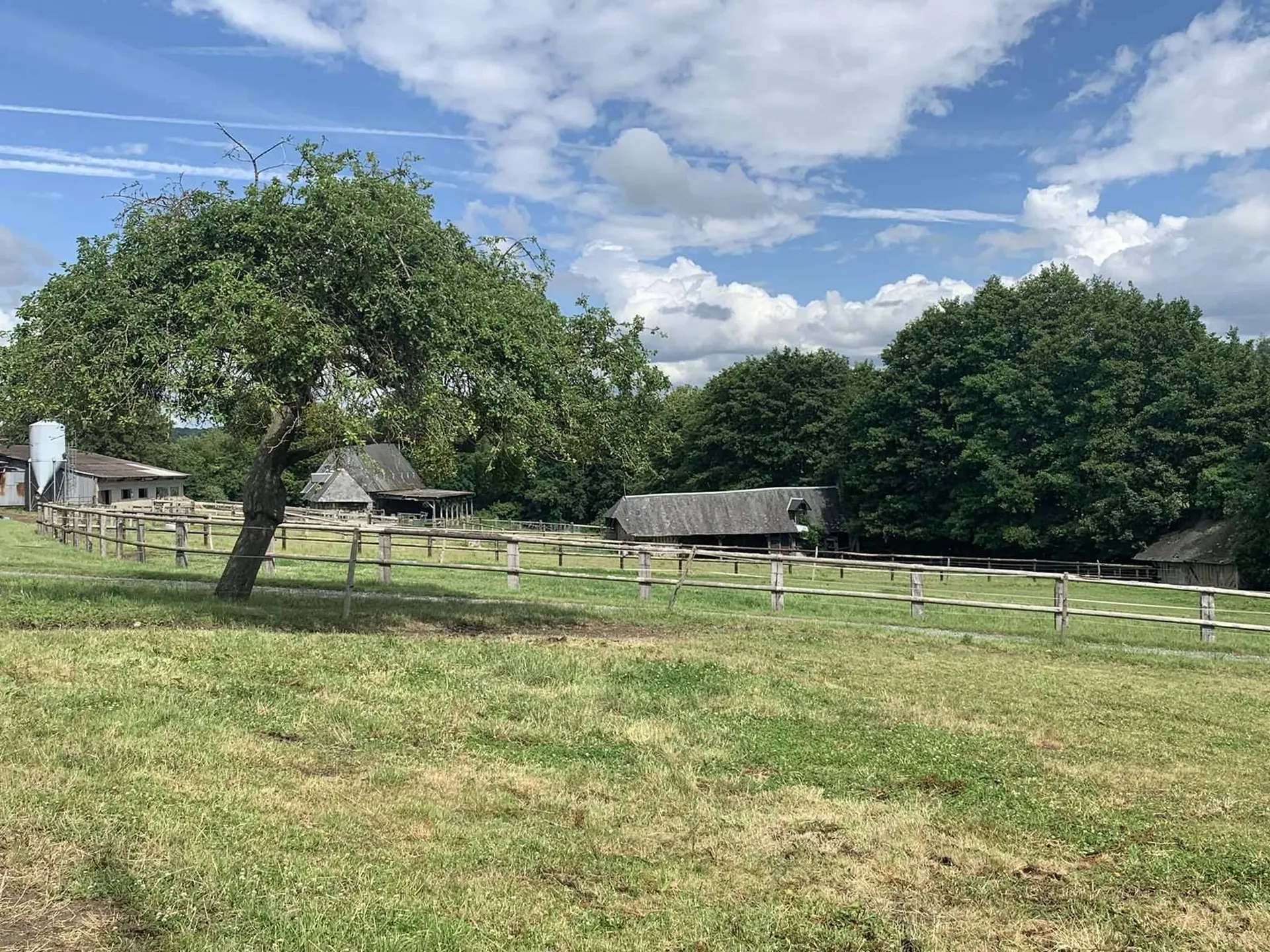 A acquérir Propriété équestre et d'élevage avec bâtiments sur 22 Ha de terrain dans le Nord du Pays d'Auge, Calvados 14.