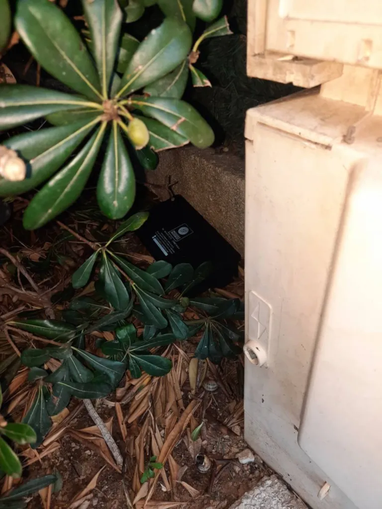 rats dans jardins entreprise efficcace